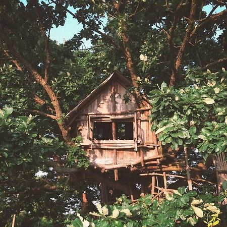 Villa Mizuno San'S Tree House Gimje Exterior foto